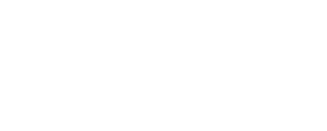 weblinx digital marketing academy logo